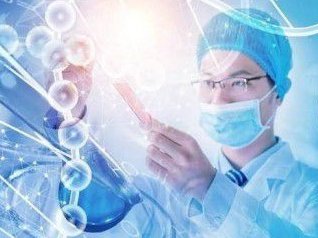 试管婴儿8三细胞（试管婴儿8细胞是什么意思）