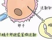 国内不孕不育十大医院排名榜单出炉，三甲机构闭着眼睛选