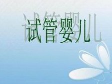 移植两个不会比一个成功率高，移植成功率从来不看个数