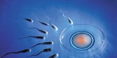 恩施市较好的试管医院是哪家？附恩施市试管医院排名介绍！