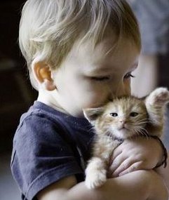 死精率80%的男性可以在古交市做三代试管吗？公开2026做三代试管条件